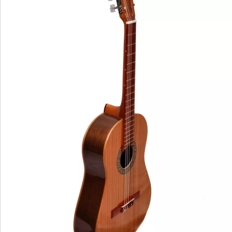 گیتار نورانیا C3